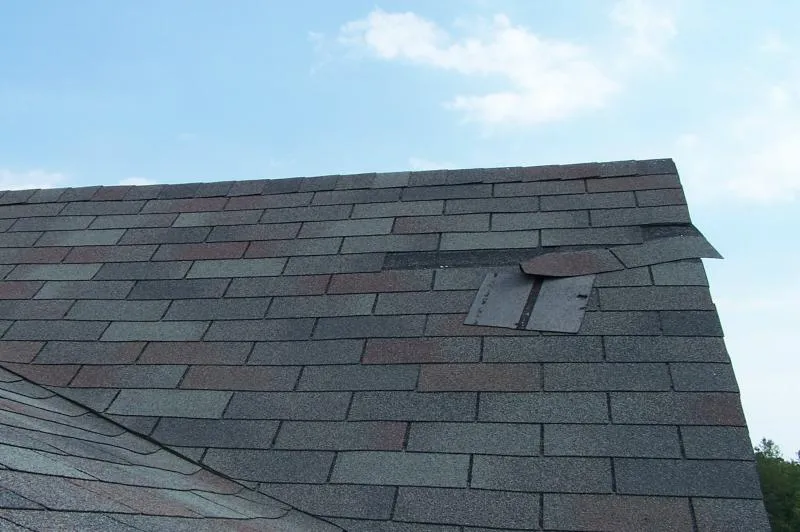 12 Common Roofing Problems