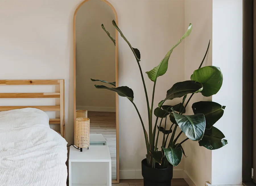Building with Nature in Mind
