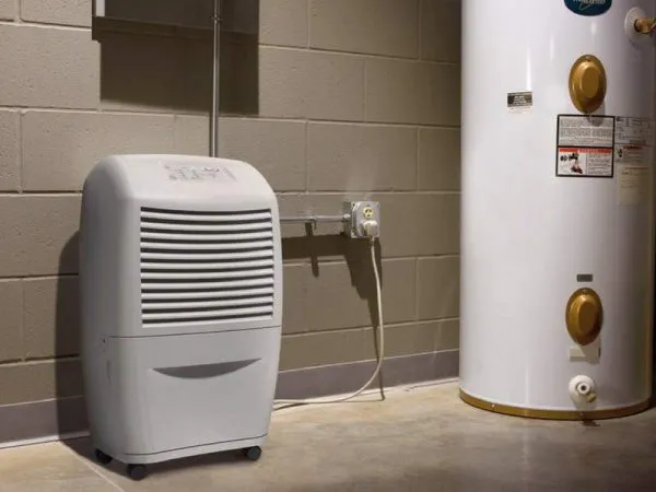 Banish Excess Humidity