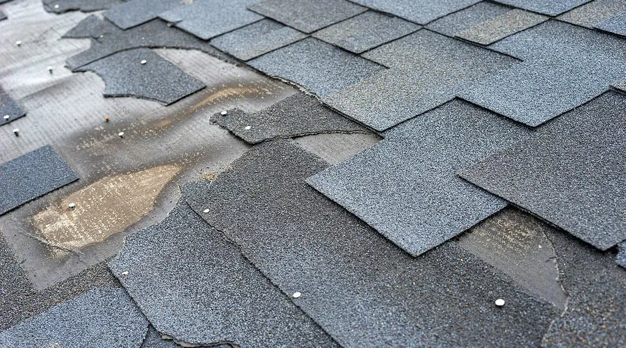 Damaged Shingles
