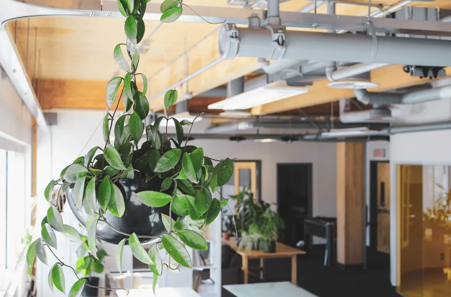 The Best HVAC System For Indoor Air Quality