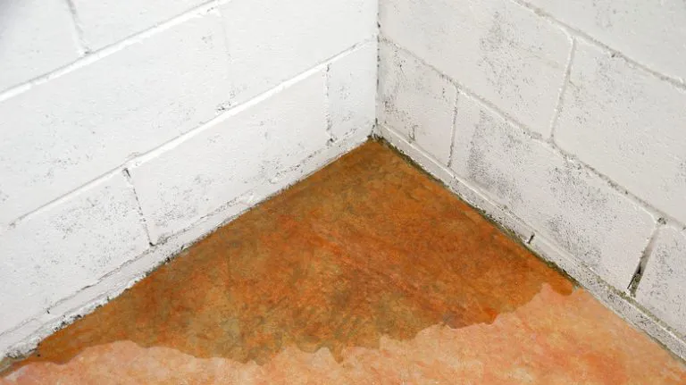 Locate The Water Leaking In Basement