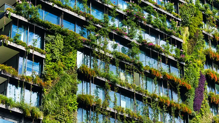 Net Zero Buildings