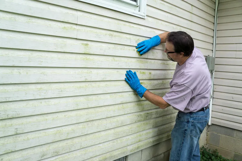 Siding Maintainance For Your Home