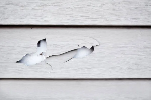 Signs Of Damaged Siding