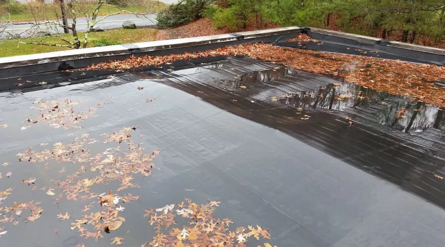 Standing Water On Flat Roof