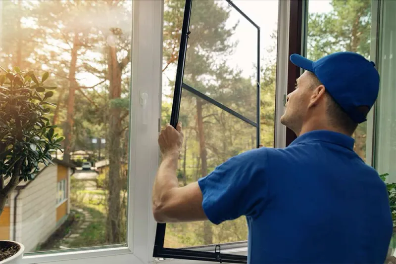Energy Efficient Windows